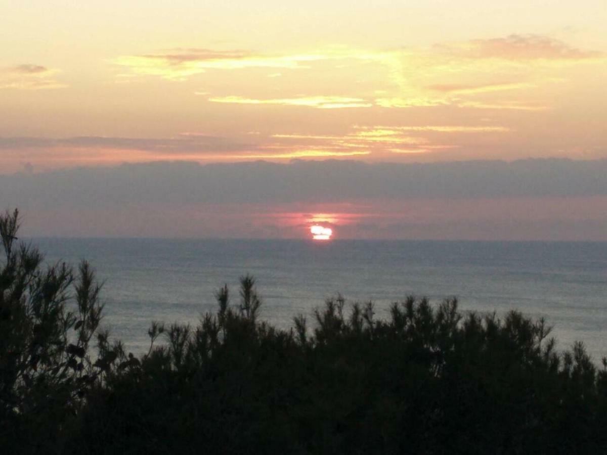 Oasi Del Cuore - Due Graziose Camere Con Vista Mare A 7 Min Dal Mare Di Castiglioncello Buitenkant foto